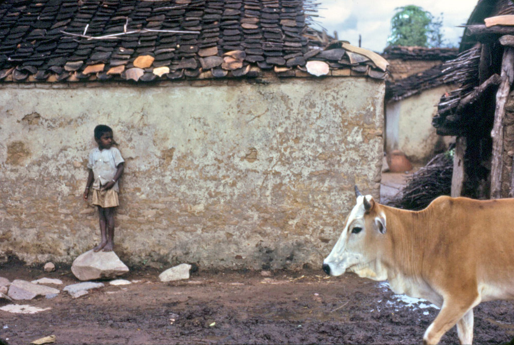 Painting by Gene Hedge